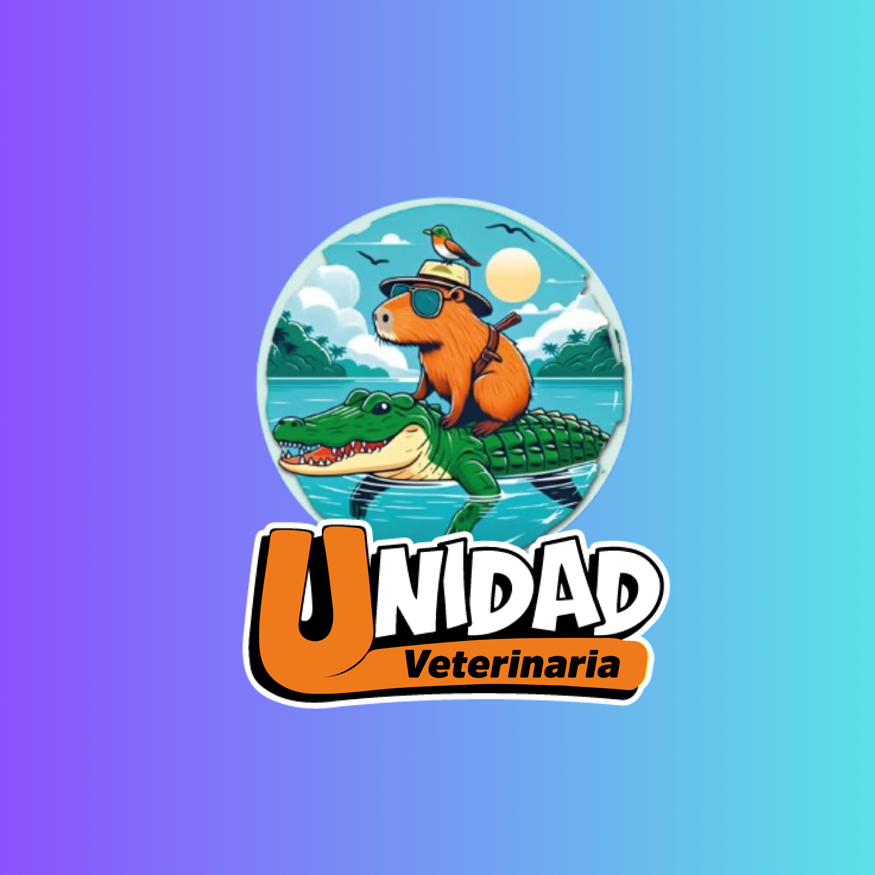 Authentication image